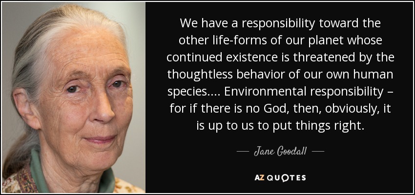 We have a responsibility toward the other life-forms of our planet whose continued existence is threatened by the thoughtless behavior of our own human species. . . . Environmental responsibility – for if there is no God, then, obviously, it is up to us to put things right. - Jane Goodall