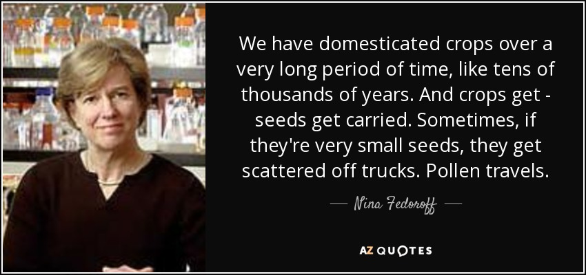 We have domesticated crops over a very long period of time, like tens of thousands of years. And crops get - seeds get carried. Sometimes, if they're very small seeds, they get scattered off trucks. Pollen travels. - Nina Fedoroff