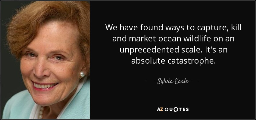 We have found ways to capture, kill and market ocean wildlife on an unprecedented scale. It's an absolute catastrophe. - Sylvia Earle