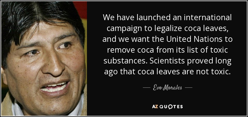 We have launched an international campaign to legalize coca leaves, and we want the United Nations to remove coca from its list of toxic substances. Scientists proved long ago that coca leaves are not toxic. - Evo Morales