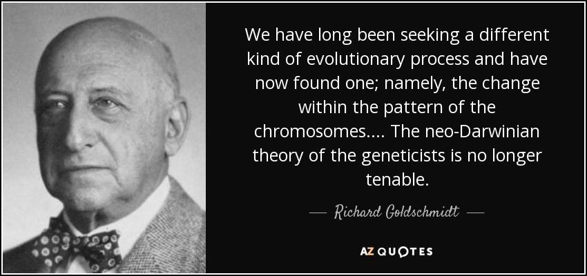 We have long been seeking a different kind of evolutionary process and have now found one; namely, the change within the pattern of the chromosomes. ... The neo-Darwinian theory of the geneticists is no longer tenable. - Richard Goldschmidt
