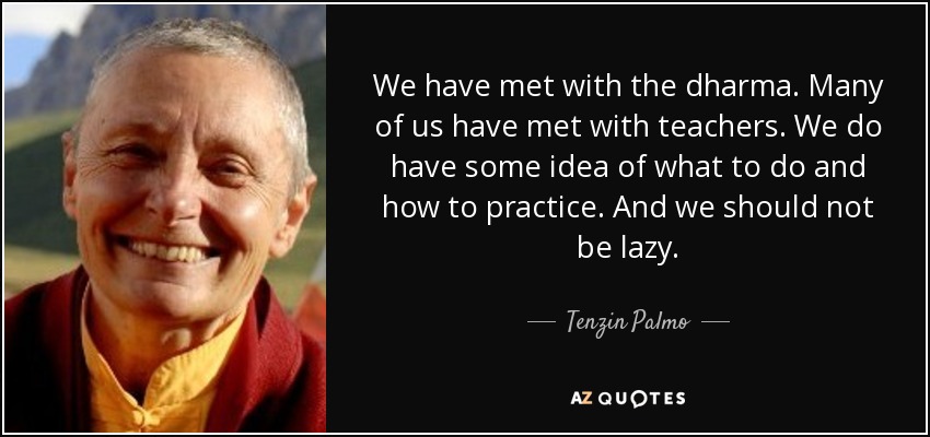 We have met with the dharma. Many of us have met with teachers. We do have some idea of what to do and how to practice. And we should not be lazy. - Tenzin Palmo