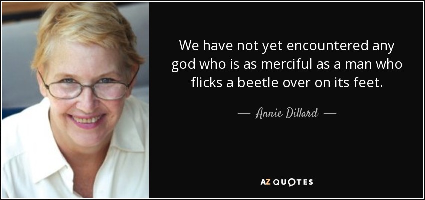 We have not yet encountered any god who is as merciful as a man who flicks a beetle over on its feet. - Annie Dillard