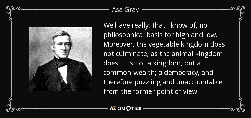 We have really, that I know of, no philosophical basis for high and low. Moreover, the vegetable kingdom does not culminate, as the animal kingdom does. It is not a kingdom, but a common-wealth; a democracy, and therefore puzzling and unaccountable from the former point of view. - Asa Gray