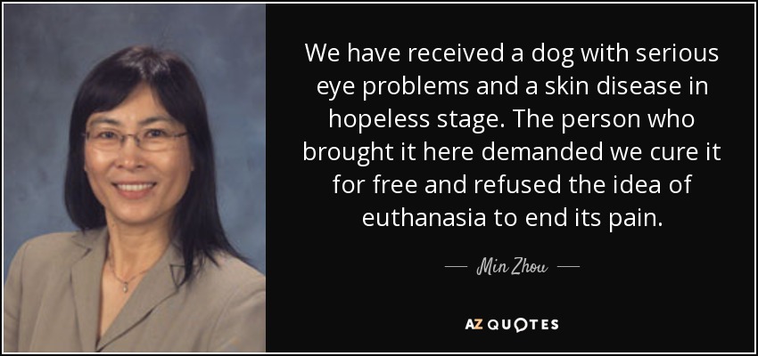 We have received a dog with serious eye problems and a skin disease in hopeless stage. The person who brought it here demanded we cure it for free and refused the idea of euthanasia to end its pain. - Min Zhou