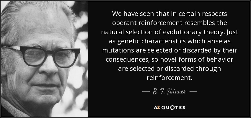 We have seen that in certain respects operant reinforcement resembles the natural selection of evolutionary theory. Just as genetic characteristics which arise as mutations are selected or discarded by their consequences, so novel forms of behavior are selected or discarded through reinforcement. - B. F. Skinner