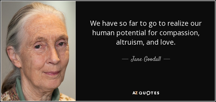 We have so far to go to realize our human potential for compassion, altruism, and love. - Jane Goodall