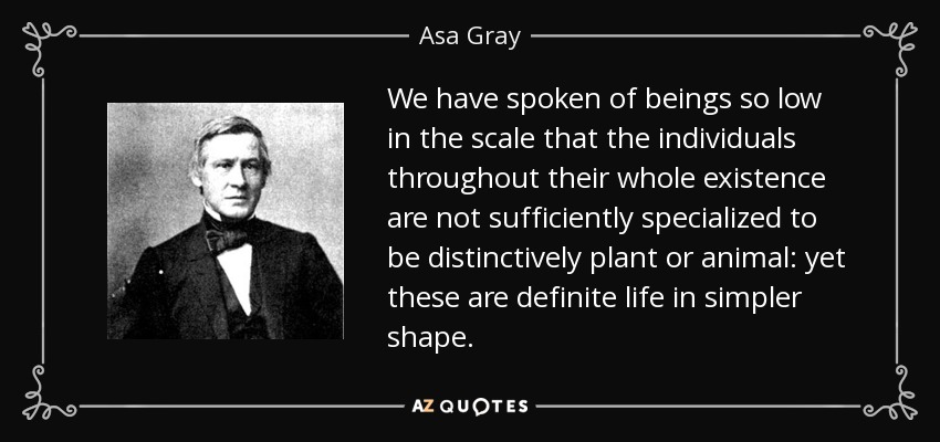 We have spoken of beings so low in the scale that the individuals throughout their whole existence are not sufficiently specialized to be distinctively plant or animal: yet these are definite life in simpler shape. - Asa Gray