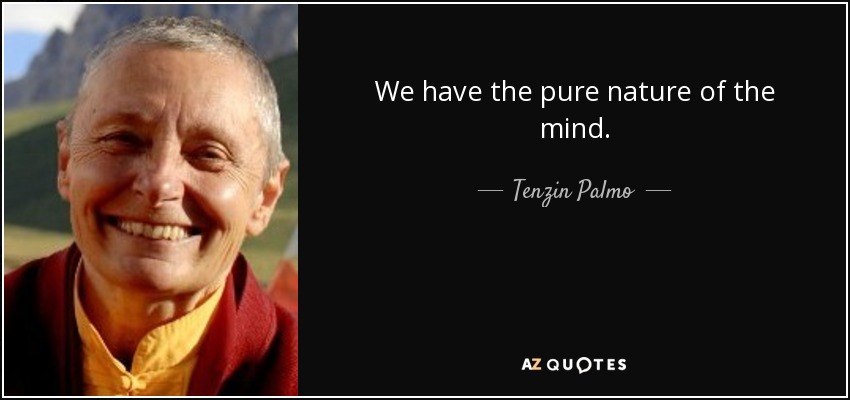 We have the pure nature of the mind. - Tenzin Palmo