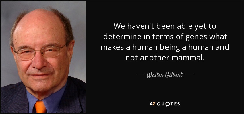 We haven't been able yet to determine in terms of genes what makes a human being a human and not another mammal. - Walter Gilbert