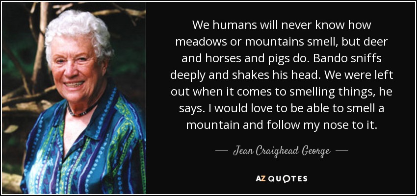 We humans will never know how meadows or mountains smell, but deer and horses and pigs do. Bando sniffs deeply and shakes his head. We were left out when it comes to smelling things, he says. I would love to be able to smell a mountain and follow my nose to it. - Jean Craighead George