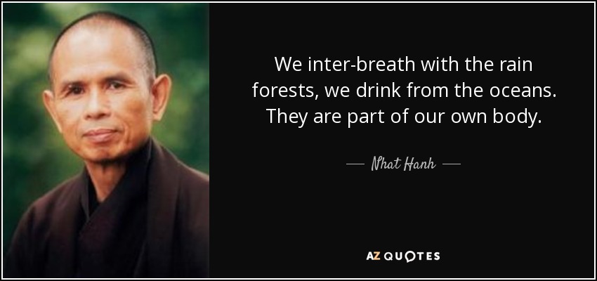 We inter-breath with the rain forests, we drink from the oceans. They are part of our own body. - Nhat Hanh