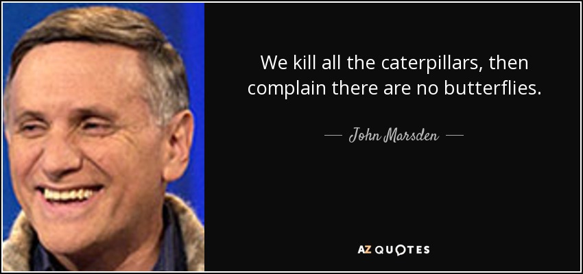 We kill all the caterpillars, then complain there are no butterflies. - John Marsden