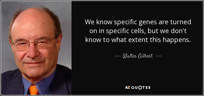 We know specific genes are turned on in specific cells, but we don't know to what extent this happens. - Walter Gilbert
