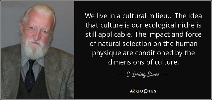 We live in a cultural milieu ... The idea that culture is our ecological niche is still applicable. The impact and force of natural selection on the human physique are conditioned by the dimensions of culture. - C. Loring Brace