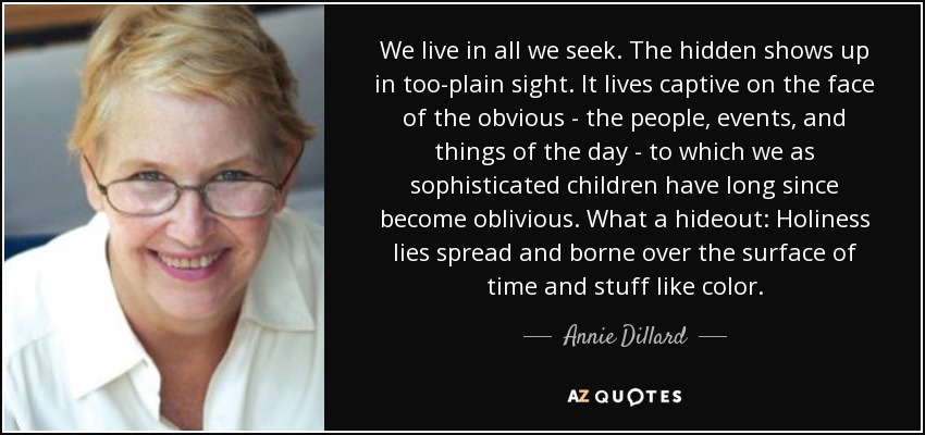 We live in all we seek. The hidden shows up in too-plain sight. It lives captive on the face of the obvious - the people, events, and things of the day - to which we as sophisticated children have long since become oblivious. What a hideout: Holiness lies spread and borne over the surface of time and stuff like color. - Annie Dillard