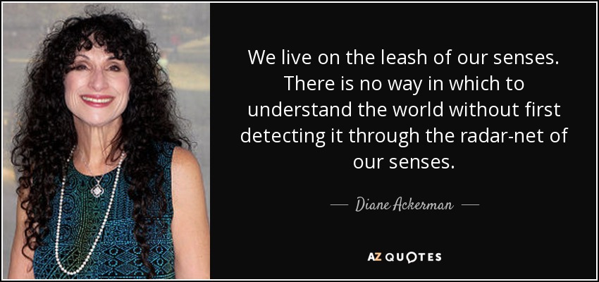 We live on the leash of our senses. There is no way in which to understand the world without first detecting it through the radar-net of our senses. - Diane Ackerman