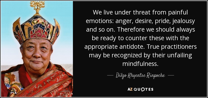 We live under threat from painful emotions: anger, desire, pride, jealousy and so on. Therefore we should always be ready to counter these with the appropriate antidote. True practitioners may be recognized by their unfailing mindfulness. - Dilgo Khyentse Rinpoche
