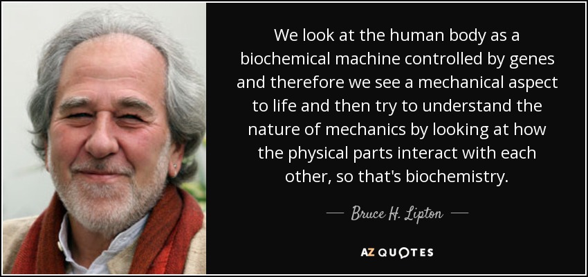 We look at the human body as a biochemical machine controlled by genes and therefore we see a mechanical aspect to life and then try to understand the nature of mechanics by looking at how the physical parts interact with each other, so that's biochemistry. - Bruce H. Lipton