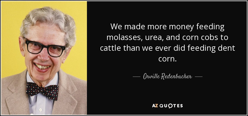 We made more money feeding molasses, urea, and corn cobs to cattle than we ever did feeding dent corn. - Orville Redenbacher