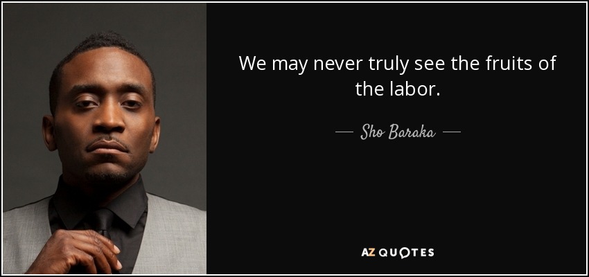 We may never truly see the fruits of the labor. - Sho Baraka