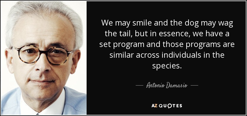 We may smile and the dog may wag the tail, but in essence, we have a set program and those programs are similar across individuals in the species. - Antonio Damasio