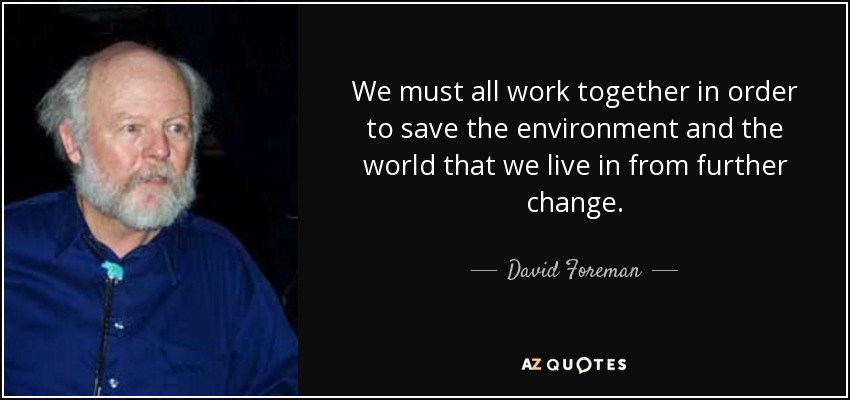 We must all work together in order to save the environment and the world that we live in from further change. - David Foreman