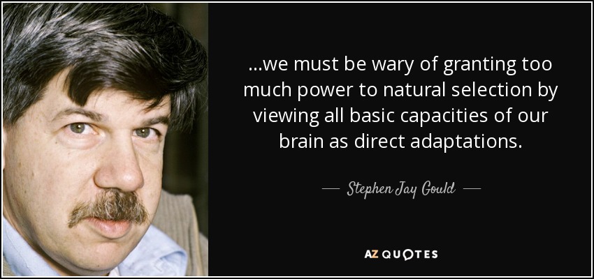 ...we must be wary of granting too much power to natural selection by viewing all basic capacities of our brain as direct adaptations. - Stephen Jay Gould