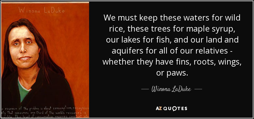 We must keep these waters for wild rice, these trees for maple syrup, our lakes for fish, and our land and aquifers for all of our relatives - whether they have fins, roots, wings, or paws. - Winona LaDuke