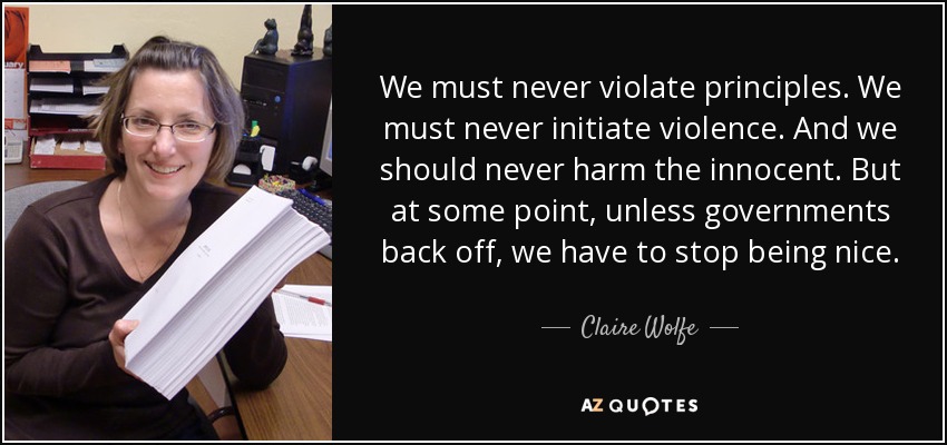 We must never violate principles. We must never initiate violence. And we should never harm the innocent. But at some point, unless governments back off, we have to stop being nice. - Claire Wolfe