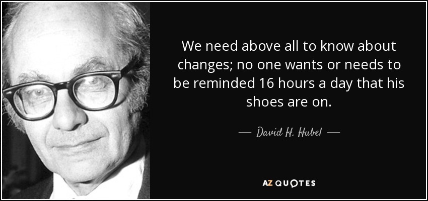 We need above all to know about changes; no one wants or needs to be reminded 16 hours a day that his shoes are on. - David H. Hubel
