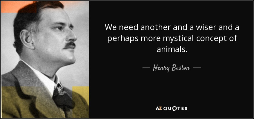 We need another and a wiser and a perhaps more mystical concept of animals. - Henry Beston