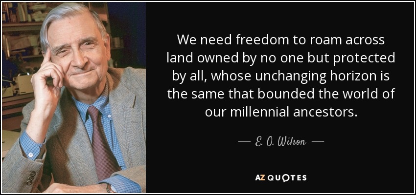 We need freedom to roam across land owned by no one but protected by all, whose unchanging horizon is the same that bounded the world of our millennial ancestors. - E. O. Wilson