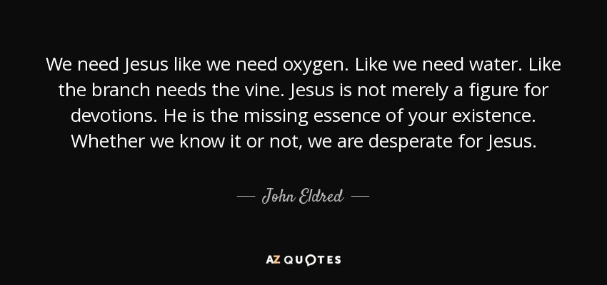 We need Jesus like we need oxygen. Like we need water. Like the branch needs the vine. Jesus is not merely a figure for devotions. He is the missing essence of your existence. Whether we know it or not, we are desperate for Jesus. - John Eldred