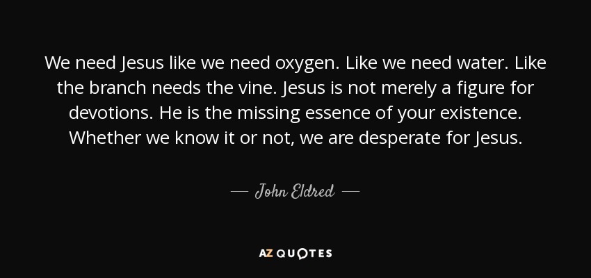 We need Jesus like we need oxygen. Like we need water. Like the branch needs the vine. Jesus is not merely a figure for devotions. He is the missing essence of your existence. Whether we know it or not, we are desperate for Jesus. - John Eldred