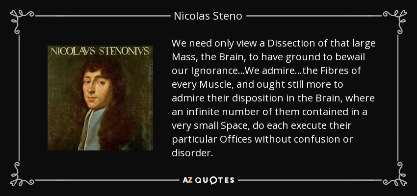 We need only view a Dissection of that large Mass, the Brain, to have ground to bewail our Ignorance...We admire...the Fibres of every Muscle, and ought still more to admire their disposition in the Brain, where an infinite number of them contained in a very small Space, do each execute their particular Offices without confusion or disorder. - Nicolas Steno