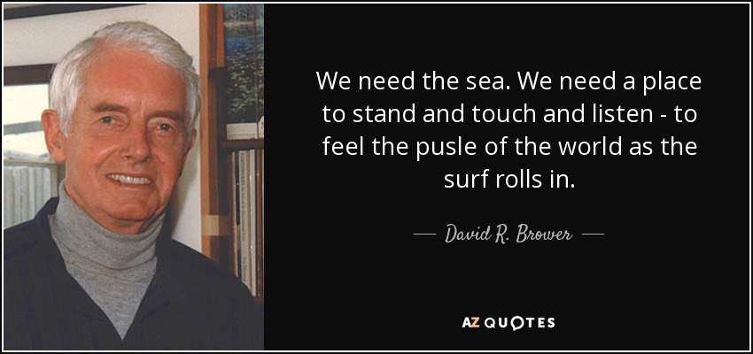 We need the sea. We need a place to stand and touch and listen - to feel the pusle of the world as the surf rolls in. - David R. Brower