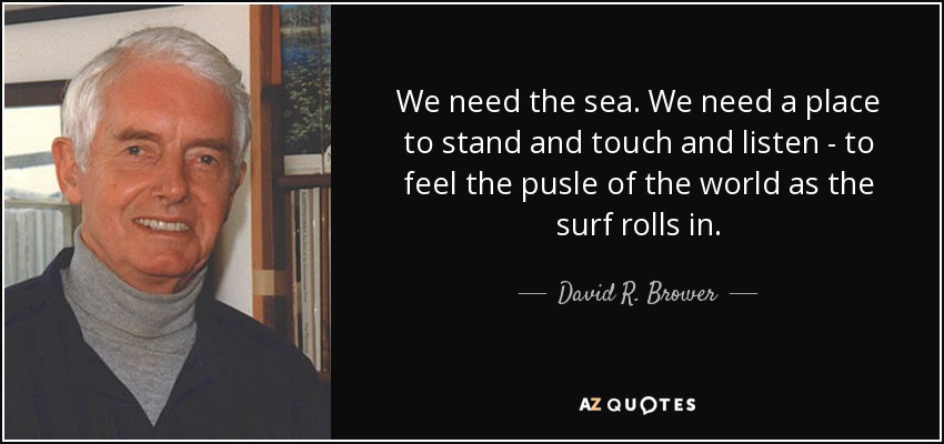 We need the sea. We need a place to stand and touch and listen - to feel the pusle of the world as the surf rolls in. - David R. Brower
