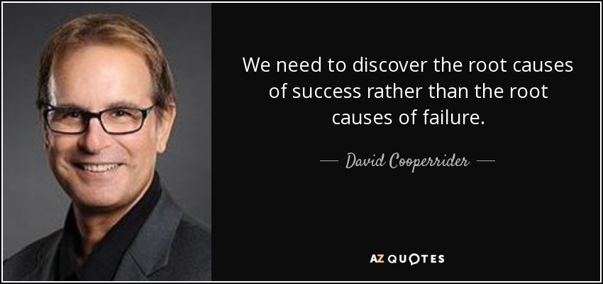 We need to discover the root causes of success rather than the root causes of failure. - David Cooperrider