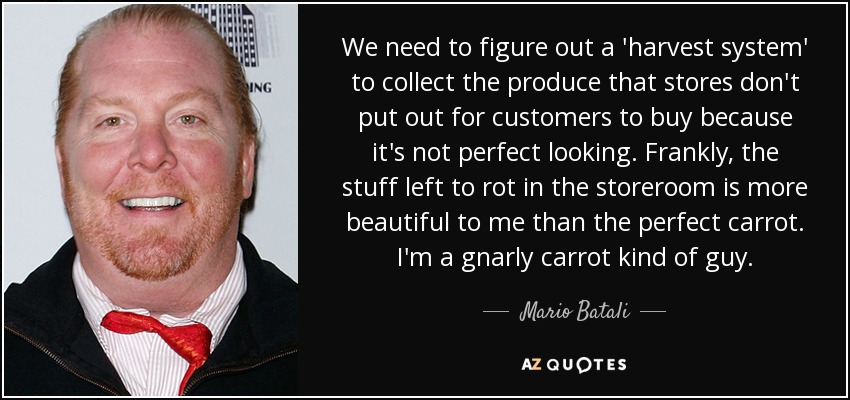 We need to figure out a 'harvest system' to collect the produce that stores don't put out for customers to buy because it's not perfect looking. Frankly, the stuff left to rot in the storeroom is more beautiful to me than the perfect carrot. I'm a gnarly carrot kind of guy. - Mario Batali