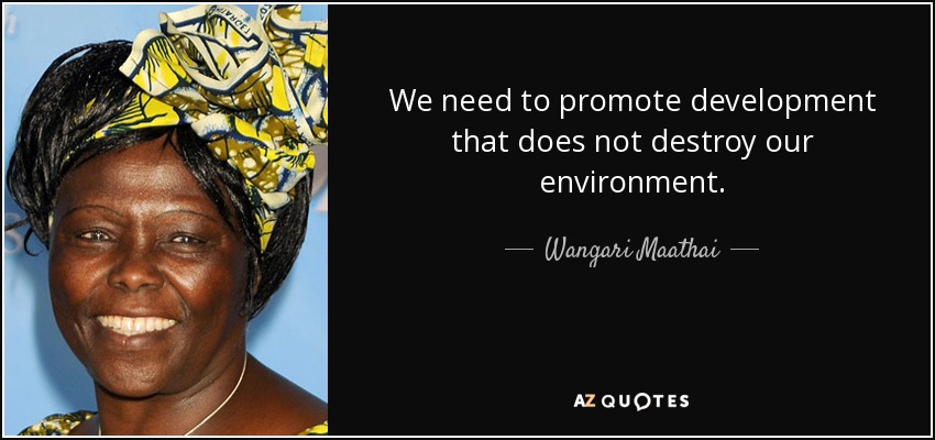 We need to promote development that does not destroy our environment. - Wangari Maathai