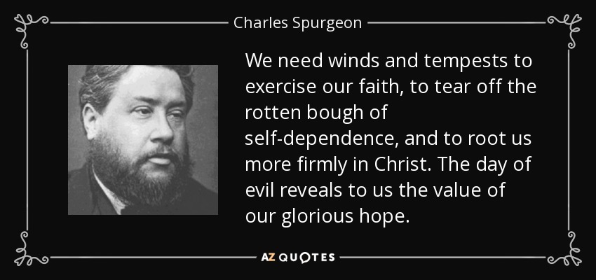 We need winds and tempests to exercise our faith, to tear off the rotten bough of self-dependence, and to root us more firmly in Christ. The day of evil reveals to us the value of our glorious hope. - Charles Spurgeon