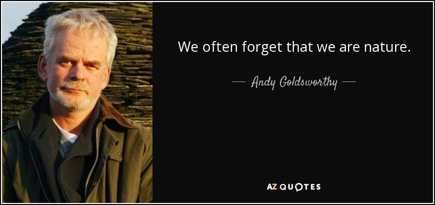 We often forget that we are nature. - Andy Goldsworthy