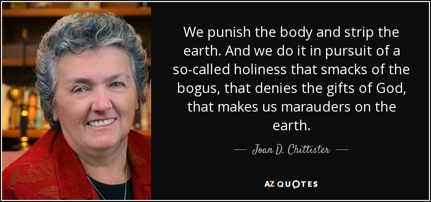 We punish the body and strip the earth. And we do it in pursuit of a so-called holiness that smacks of the bogus, that denies the gifts of God, that makes us marauders on the earth. - Joan D. Chittister