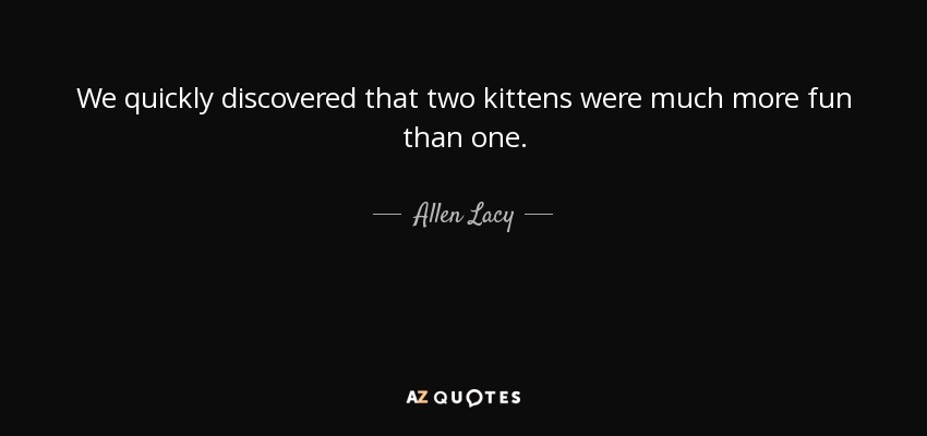 We quickly discovered that two kittens were much more fun than one. - Allen Lacy