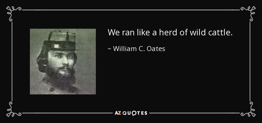We ran like a herd of wild cattle. - William C. Oates