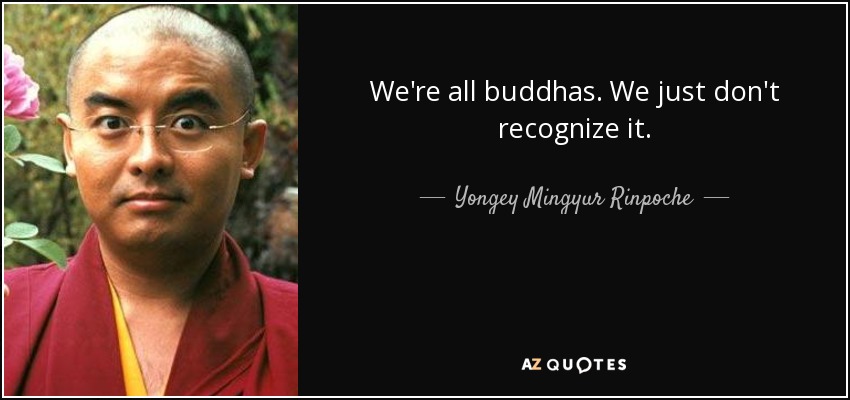 We're all buddhas. We just don't recognize it. - Yongey Mingyur Rinpoche