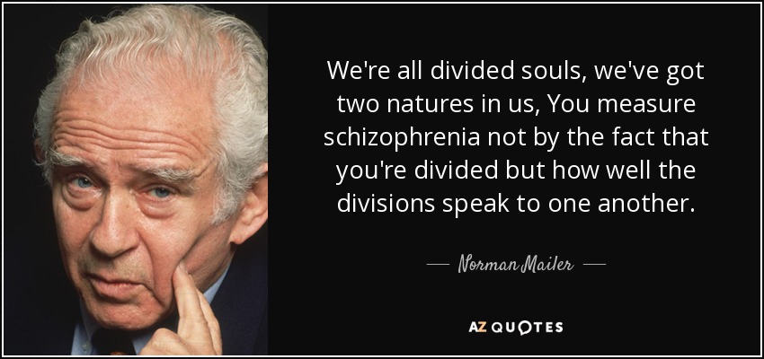 We're all divided souls, we've got two natures in us, You measure schizophrenia not by the fact that you're divided but how well the divisions speak to one another. - Norman Mailer