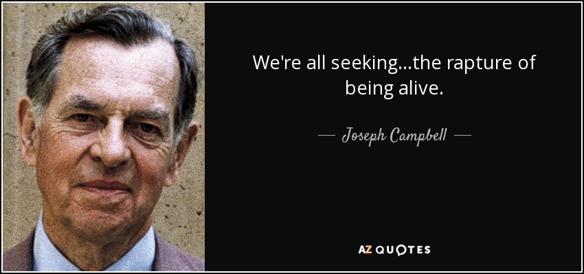 We're all seeking...the rapture of being alive. - Joseph Campbell