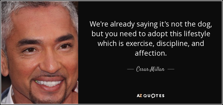 We're already saying it's not the dog, but you need to adopt this lifestyle which is exercise, discipline, and affection. - Cesar Millan